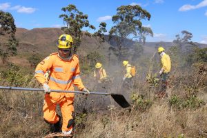Read more about the article Estado lança Plano de Resposta para atendimento a incêndios florestais